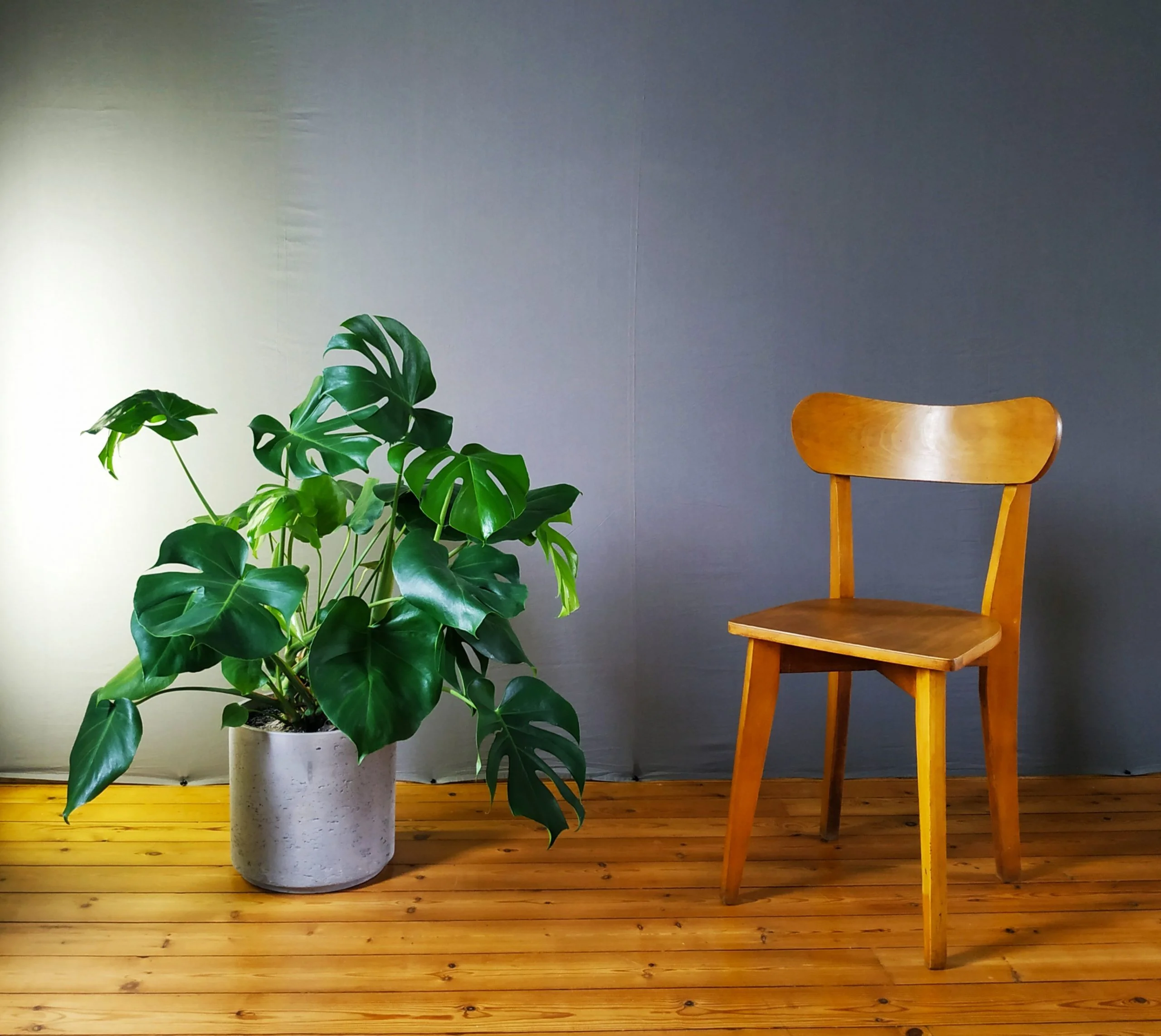 Chaise VINTAGE – Image 3